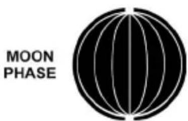 Brandson 306643 - Mostrar - 3