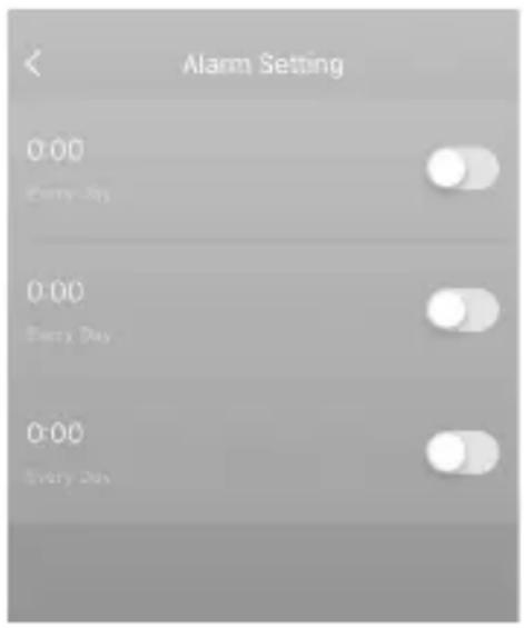 Brandson 306643 - Alarm settings - 1
