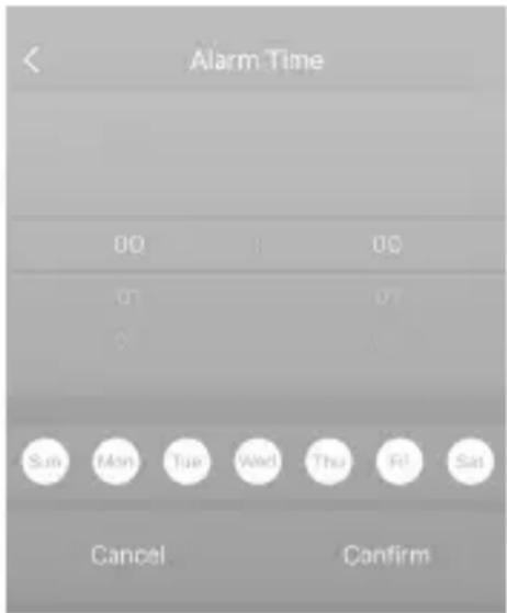 Brandson 306643 - Paramètres d'alarme - 2