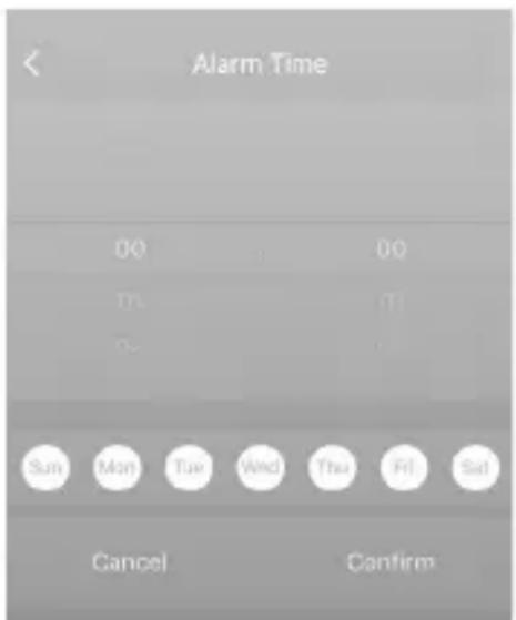 Brandson 306643 - Ajustes de alarma - 2