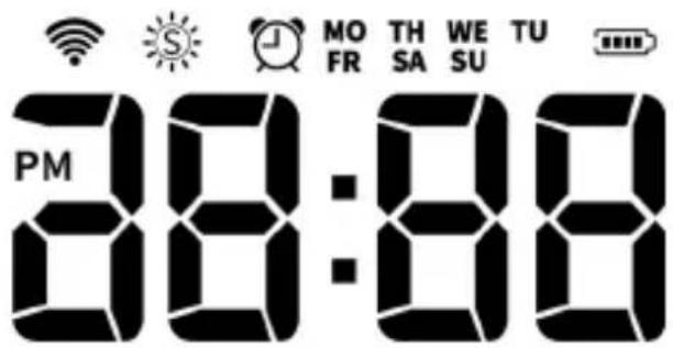 Brandson 306643 - Display - 1