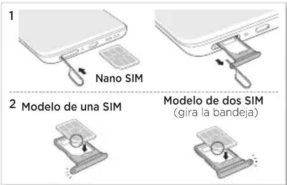 MOTOROLA Edge 50 Fusion - Inserción de las tarjetas y encendido del teléfono - 1
