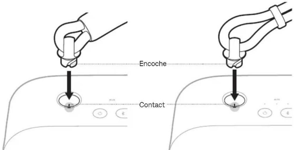 Encoche Contact