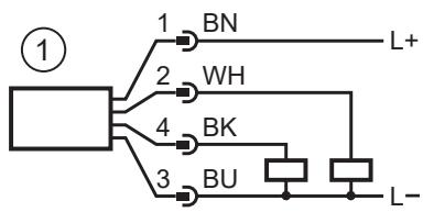 IFM PQS819 - Conexión eléctrica - 4