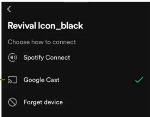 ROBERTS Revival Icon - Configuration de Google Chromecast - 3