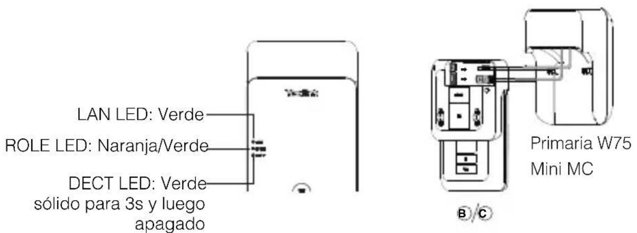 Yealink W75 Mini MC - • Despliegue dos o tres W75 Mini MC - 7
