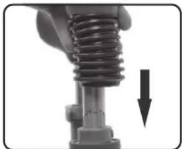 Chipolino Zig Zag - 4