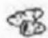 UNOLD 58695 - BEDIENINGSPANEEEL - 5