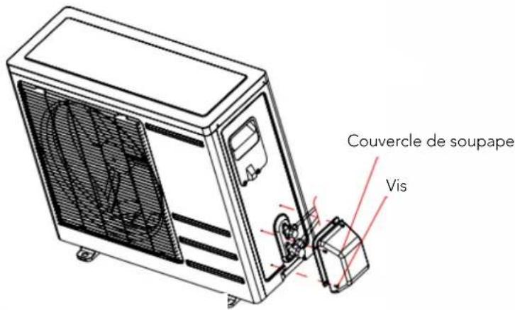 Couvercle de soupape Vis