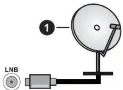 PANASONIC TX-55MXX689 - Lato posteriore della TV - 1