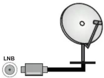 PANASONIC TX-65MX710E - Πίσω πλευρά της τηλεόρασης - 1