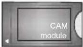 PANASONIC TX-65MX610E - DVB / Dátové vysielanie / IPTV - 13