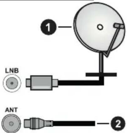 PANASONIC TX-65MX610E - Collegamento antenna - 1