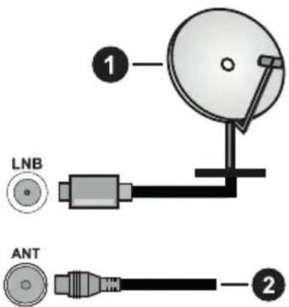 PANASONIC TX-65MX610E - Branchement de l'antenne - 1