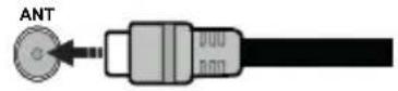 PANASONIC TX-65MZ700E - Antenna Connection - 1