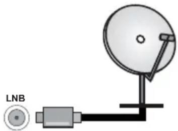 PANASONIC TX-42MZ700E - Zadná strana televízora - 1