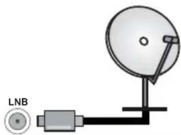 PANASONIC TN-65W70AEZ - Rear side of the TV - 1