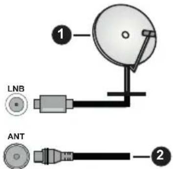 PANASONIC TX-40MS360E - Πίσω πλευρά της τηλεόρασης - 1