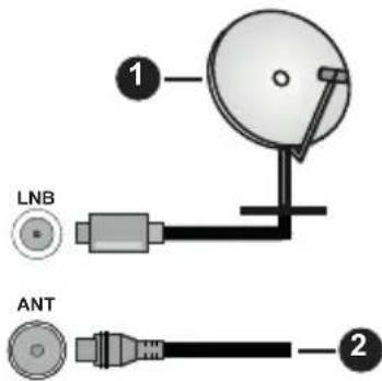 PANASONIC TX-40MS360E - Parte trasera del televisor - 1