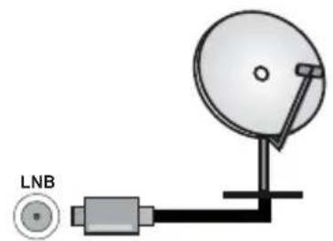 PANASONIC TN-50W70AEZ - Baksiden av TV-en - 1