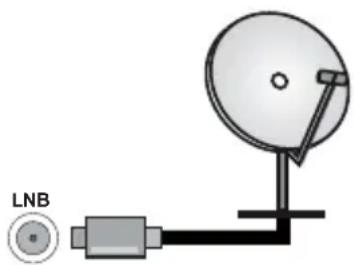 PANASONIC TN-50W70AEZ - Lato posteriore della TV - 1