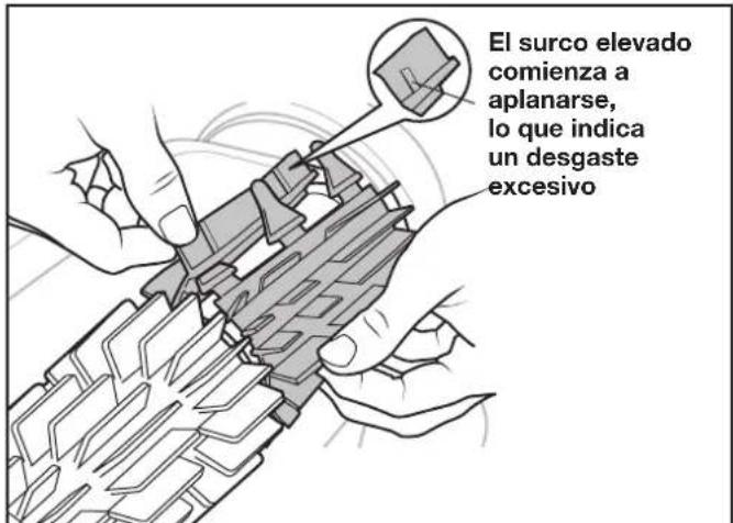 POLARIS FREEDOM Plus - Reemplazo de cepillos - 1