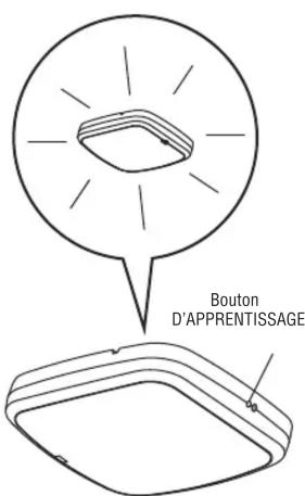 Bouton D'APPRENTISSAGE