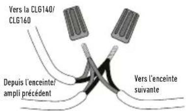 Vers la CLG140/ CLG160 Depuis l'enceinte/ ampli précédent Vers l'enceinte suivante