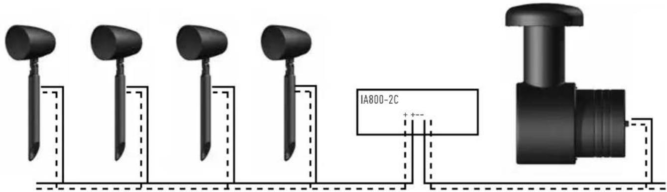 IA800-2C + + - -