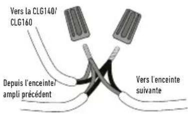 Vers la CLG140/ CLG160 Depuis l'enceinte/ ampli précédent Vers l'enceinte suivante