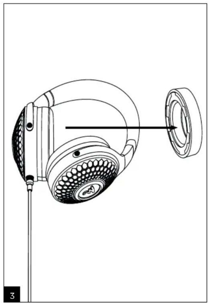 FOCAL Hadenys - Hadenys - 10