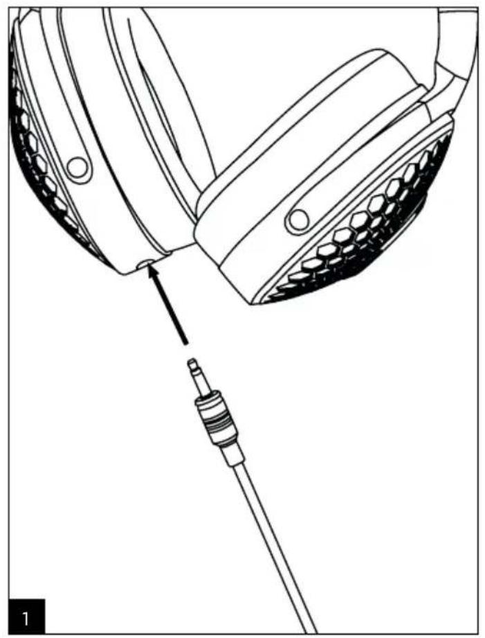 FOCAL Hadenys - Hadenys - 8