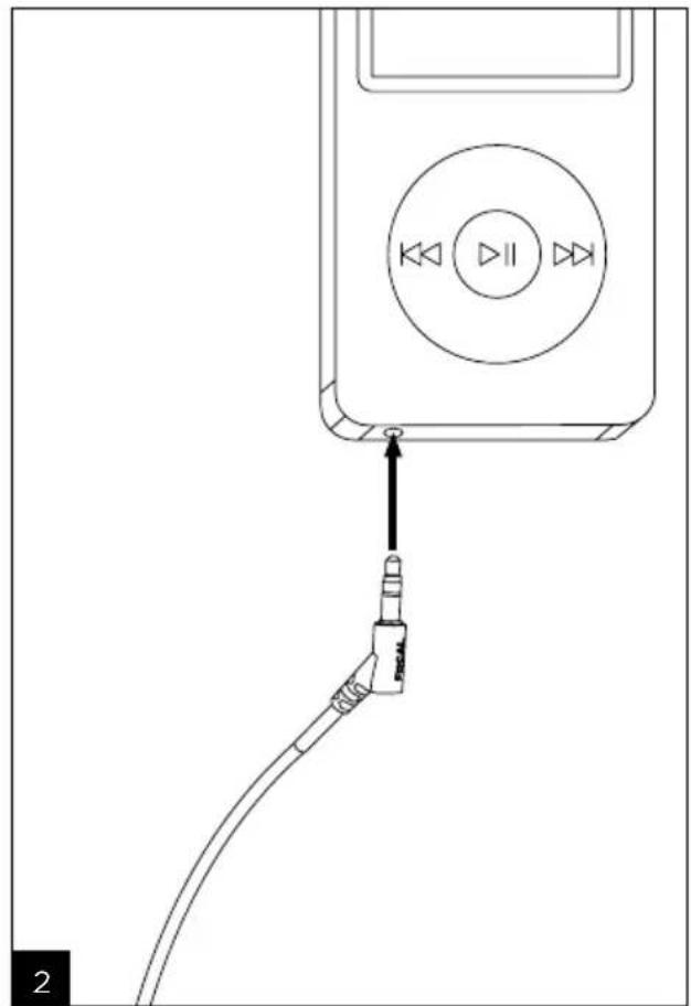 FOCAL Hadenys - Hadenys - 9