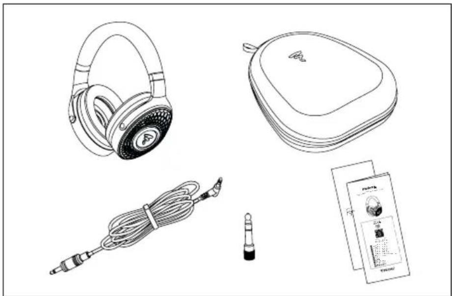 FOCAL Hadenys - Contenuto della confezione - 1
