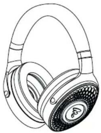 FOCAL Hadenys - Hadenys - 2