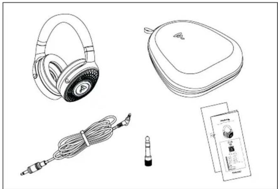 FOCAL Hadenys - Комплектация - 1