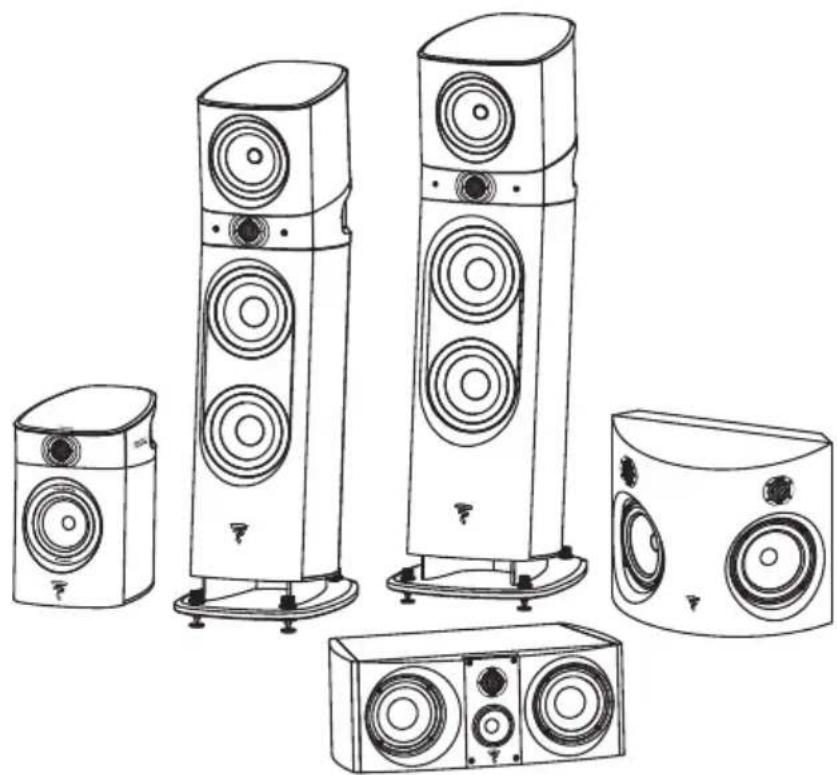 FOCAL Sopra Surround BE - N°1 | N°2 | N°3 | CENTER | SURROUND BE - 1