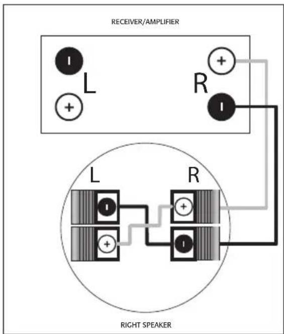 Martin Logan ML-65i - Connecting the ML-62i - 2