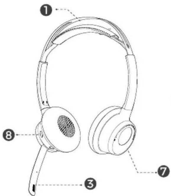 V7 HB650S - Product Overview - 1