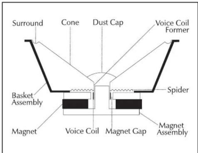 Martin Logan Montis - Subwoofer - 2