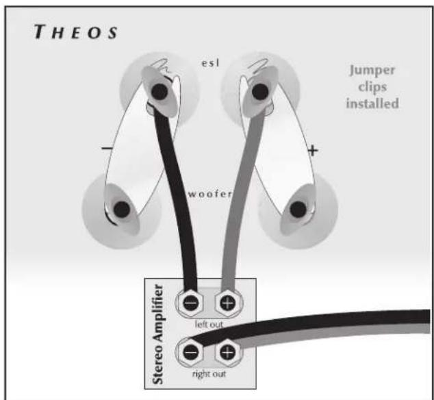 Martin Logan Theos - Low-Voltage (DC) Power Connection - 2