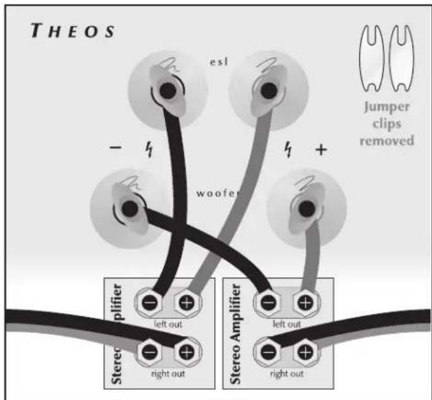 Martin Logan Theos - Single Wire Connection - 1