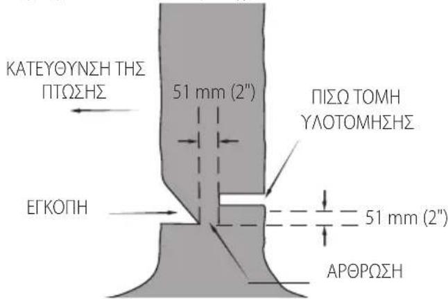 DEWALT DCMCS575 - Υλοτόμηση - 2