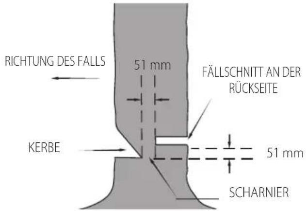 DEWALT DCMCS575 - DEUTSCH - 1