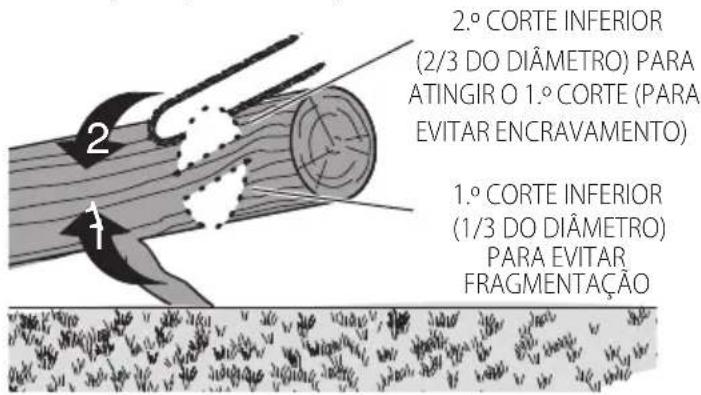 DEWALT DCMCS575 - Corte de pernadas - 4