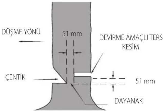 DEWALT DCMCS575 - Ağaç devirme - 2