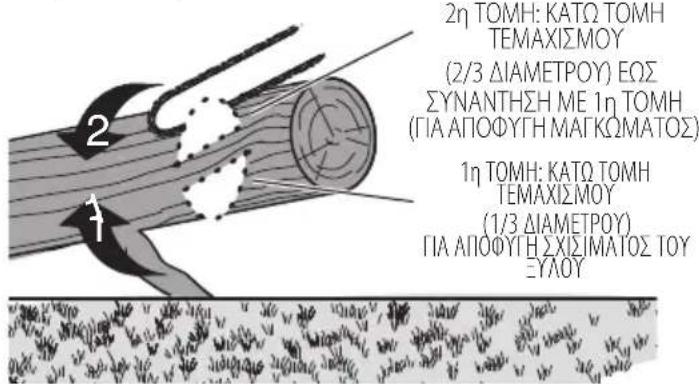 DEWALT DCMCS575 - Αποκλάδωση - 4