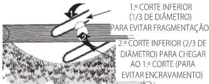 DEWALT DCMCS575 - Corte de pernadas - 5