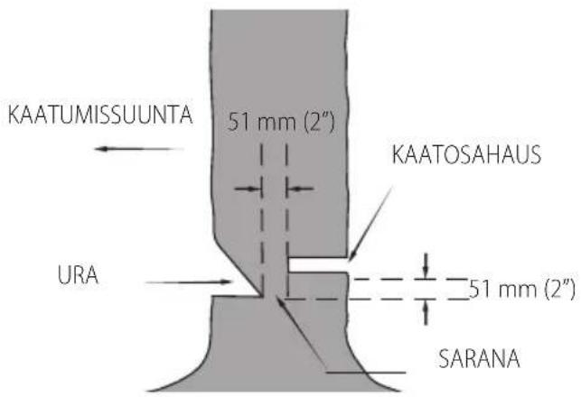 DEWALT DCMCS575 - Kaataminen - 2