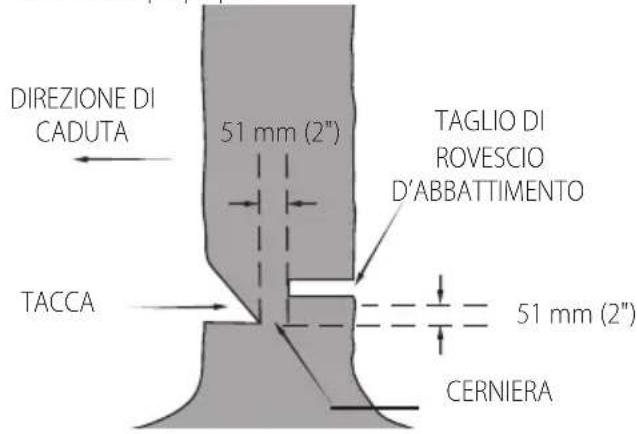 DEWALT DCMCS575 - Abbattimento - 2